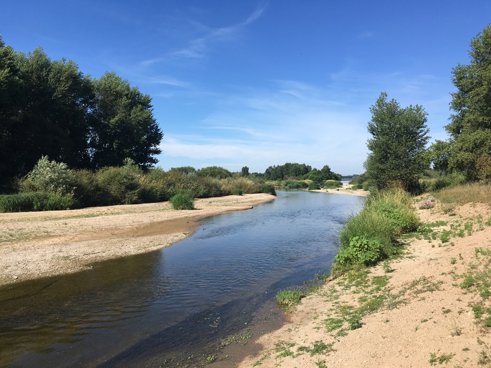 Découverte de la Petite Loire ENS